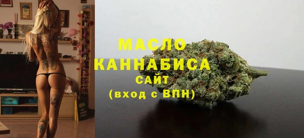 хмурый Дмитровск