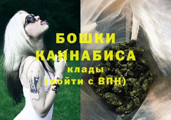 хмурый Дмитровск