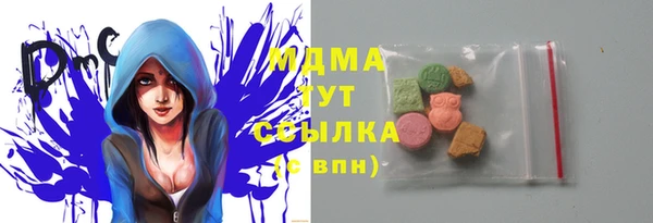 молекула духа Дмитров