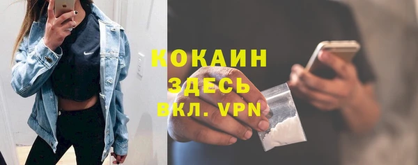 хмурый Дмитровск