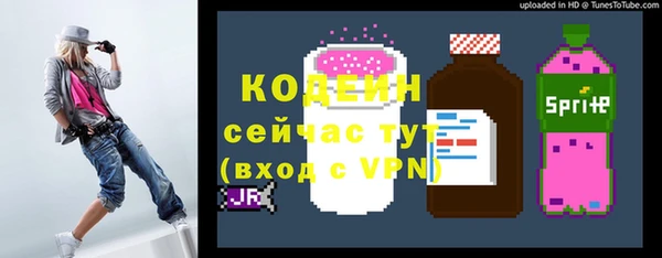 молекула духа Дмитров