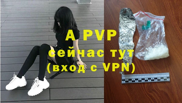 хмурый Дмитровск