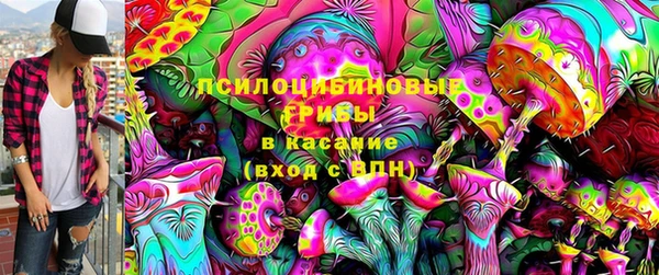 молекула духа Дмитров