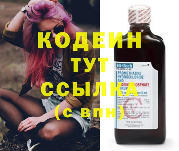 хмурый Дмитровск