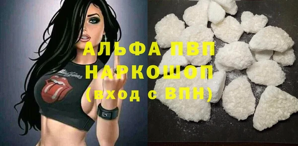 молекула духа Дмитров