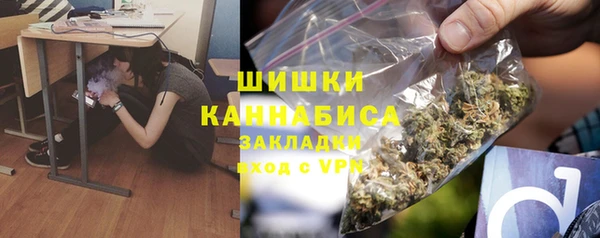 молекула духа Дмитров