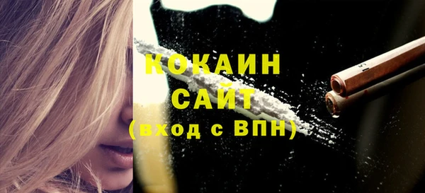 прущая мука Дмитриев