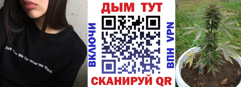 Конопля семена  Купить закладки  Кондопога 